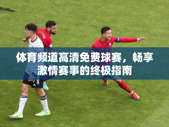 体育频道高清免费球赛，畅享激情赛事的终极指南