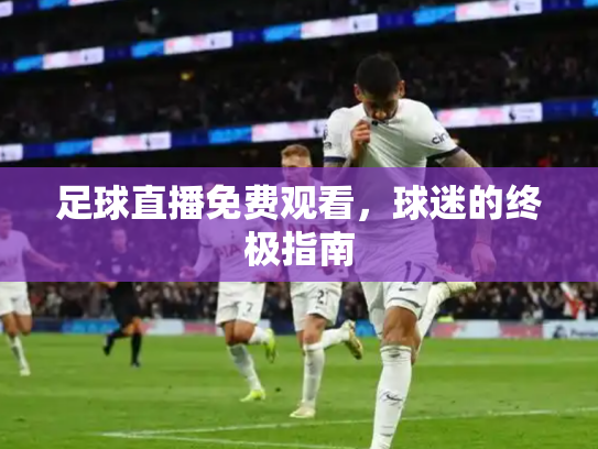 足球直播免费观看，球迷的终极指南