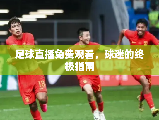 足球直播免费观看，球迷的终极指南