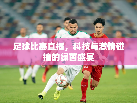 足球比赛直播，科技与激情碰撞的绿茵盛宴