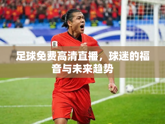 足球免费高清直播，球迷的福音与未来趋势