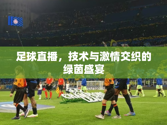 足球直播，技术与激情交织的绿茵盛宴