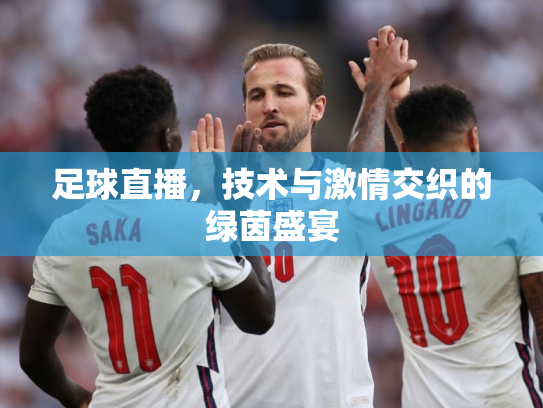 足球直播，技术与激情交织的绿茵盛宴