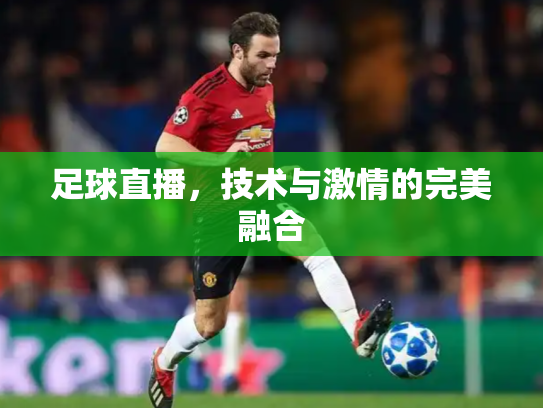 足球直播，技术与激情的完美融合