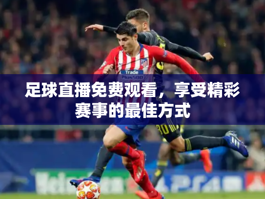 足球直播免费观看，享受精彩赛事的最佳方式