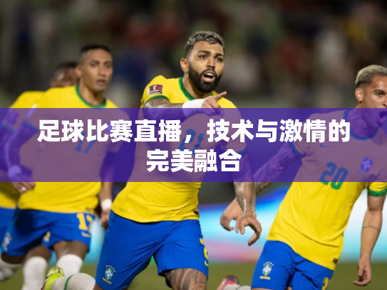 足球比赛直播，技术与激情的完美融合