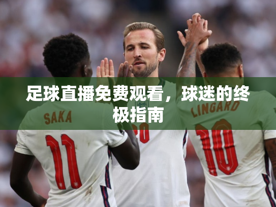 足球直播免费观看，球迷的终极指南