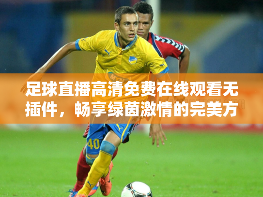 足球直播高清免费在线观看无插件，畅享绿茵激情的完美方式