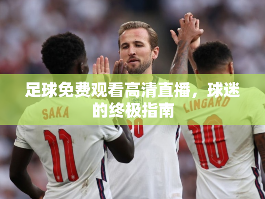 足球免费观看高清直播，球迷的终极指南