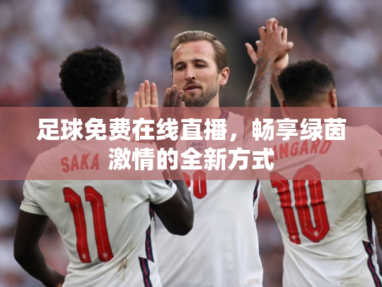 足球免费在线直播，畅享绿茵激情的全新方式