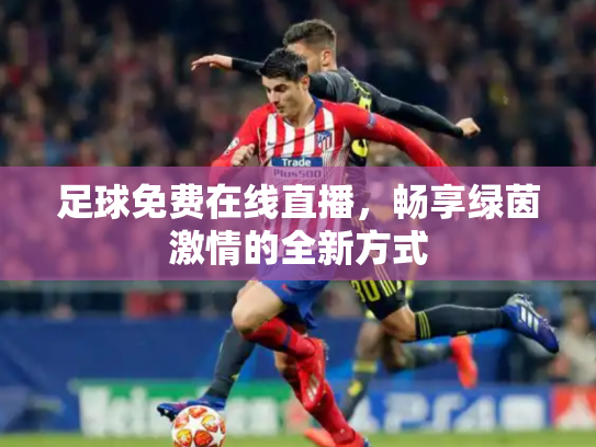 足球免费在线直播，畅享绿茵激情的全新方式