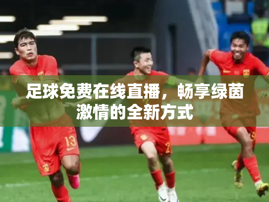 足球免费在线直播，畅享绿茵激情的全新方式