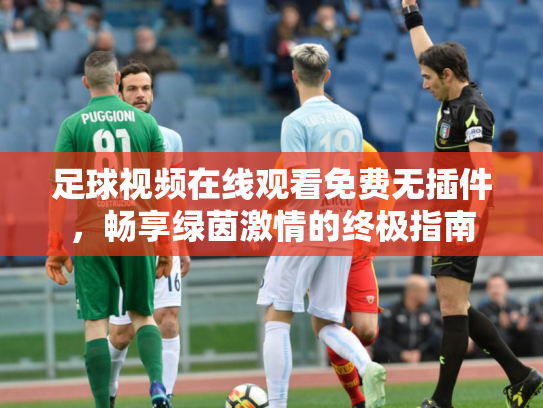 足球视频在线观看免费无插件，畅享绿茵激情的终极指南