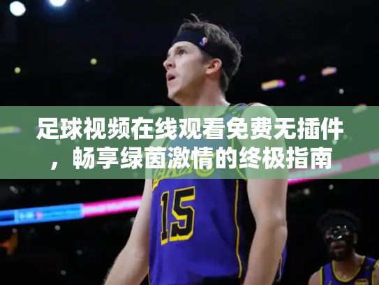 足球视频在线观看免费无插件，畅享绿茵激情的终极指南