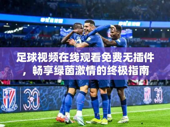 足球视频在线观看免费无插件，畅享绿茵激情的终极指南