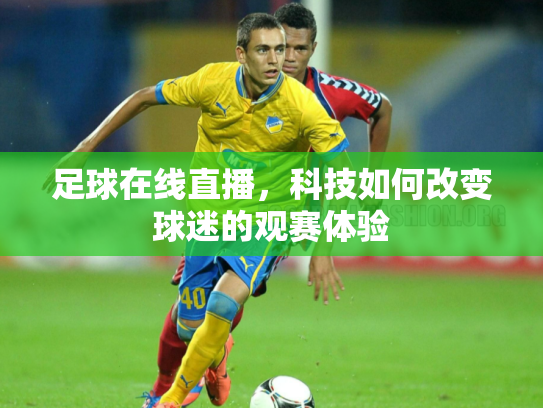 足球在线直播，科技如何改变球迷的观赛体验