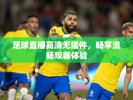 足球直播高清无插件，畅享流畅观赛体验