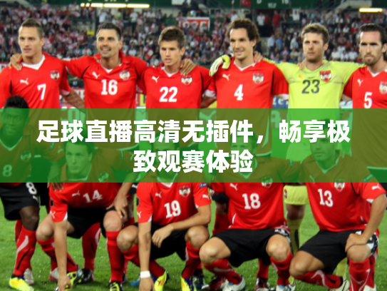 足球直播高清无插件，畅享极致观赛体验