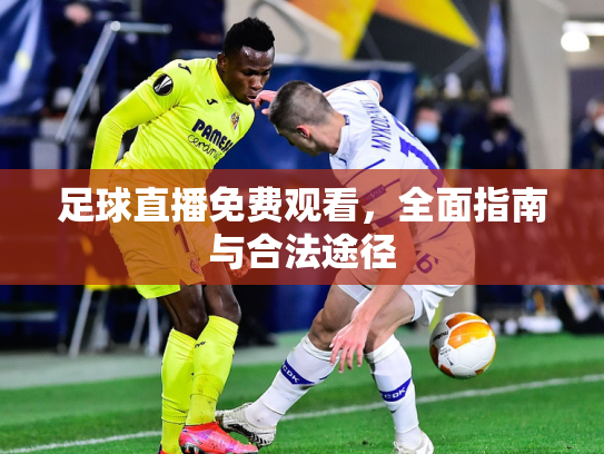 足球直播免费观看，全面指南与合法途径