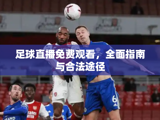 足球直播免费观看，全面指南与合法途径