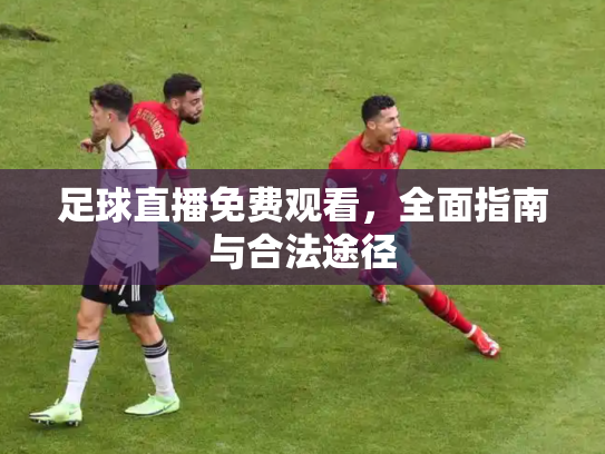 足球直播免费观看，全面指南与合法途径