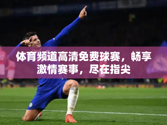 体育频道高清免费球赛，畅享激情赛事，尽在指尖