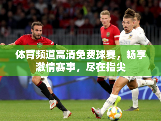 体育频道高清免费球赛，畅享激情赛事，尽在指尖