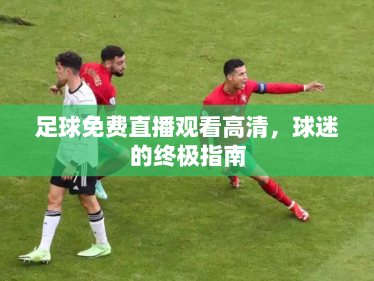 足球免费直播观看高清，球迷的终极指南