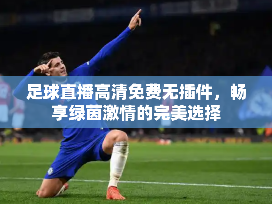 足球直播高清免费无插件，畅享绿茵激情的完美选择