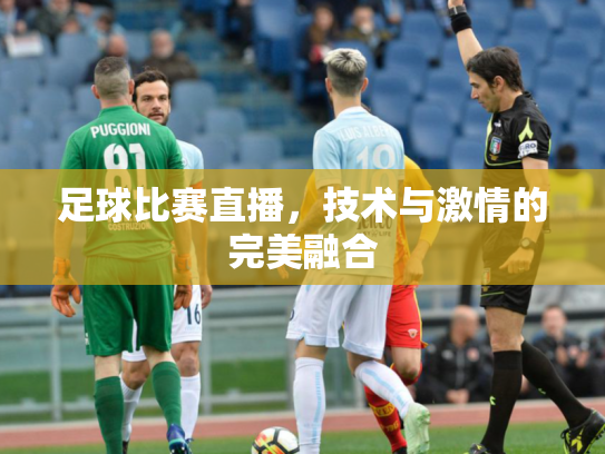 足球比赛直播，技术与激情的完美融合