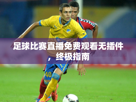足球比赛直播免费观看无插件，终极指南