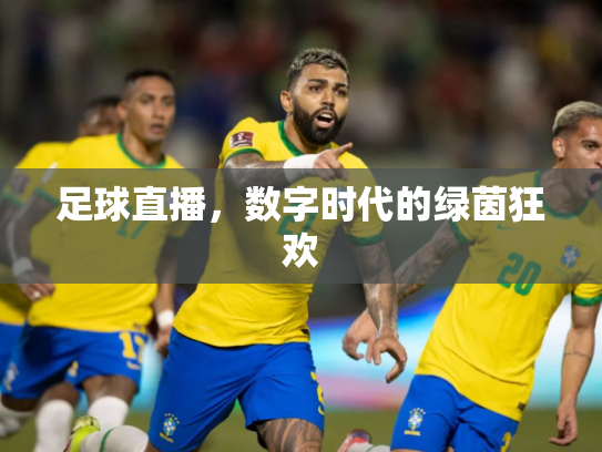 足球直播，数字时代的绿茵狂欢
