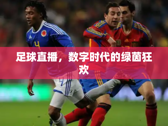 足球直播，数字时代的绿茵狂欢