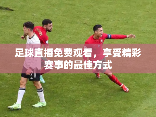 足球直播免费观看，享受精彩赛事的最佳方式