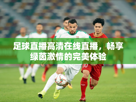 足球直播高清在线直播，畅享绿茵激情的完美体验