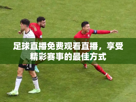 足球直播免费观看直播，享受精彩赛事的最佳方式