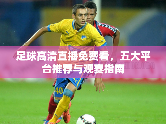 足球高清直播免费看，五大平台推荐与观赛指南