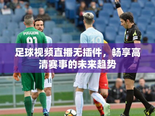 足球视频直播无插件，畅享高清赛事的未来趋势