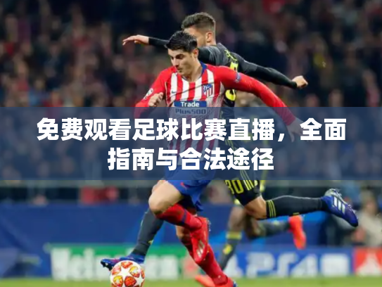 免费观看足球比赛直播，全面指南与合法途径