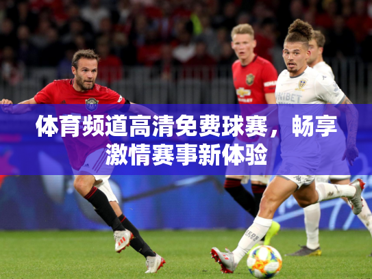 体育频道高清免费球赛，畅享激情赛事新体验