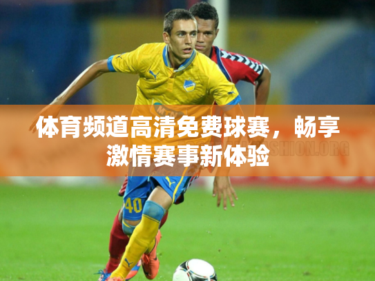 体育频道高清免费球赛，畅享激情赛事新体验