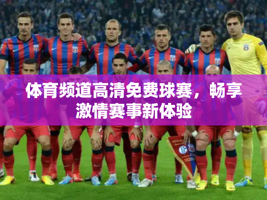 体育频道高清免费球赛，畅享激情赛事新体验