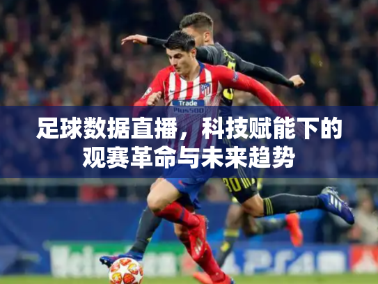 足球数据直播，科技赋能下的观赛革命与未来趋势