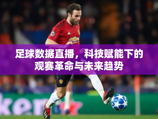 足球数据直播，科技赋能下的观赛革命与未来趋势