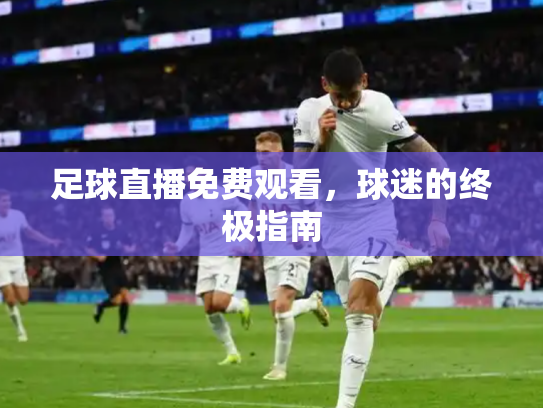 足球直播免费观看，球迷的终极指南