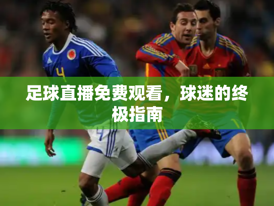 足球直播免费观看，球迷的终极指南
