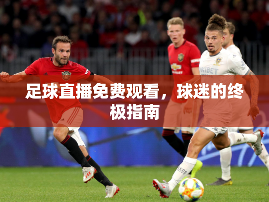 足球直播免费观看，球迷的终极指南