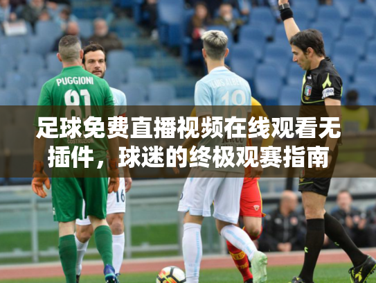 足球免费直播视频在线观看无插件，球迷的终极观赛指南