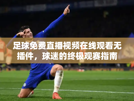 足球免费直播视频在线观看无插件，球迷的终极观赛指南