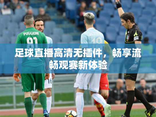 足球直播高清无插件，畅享流畅观赛新体验